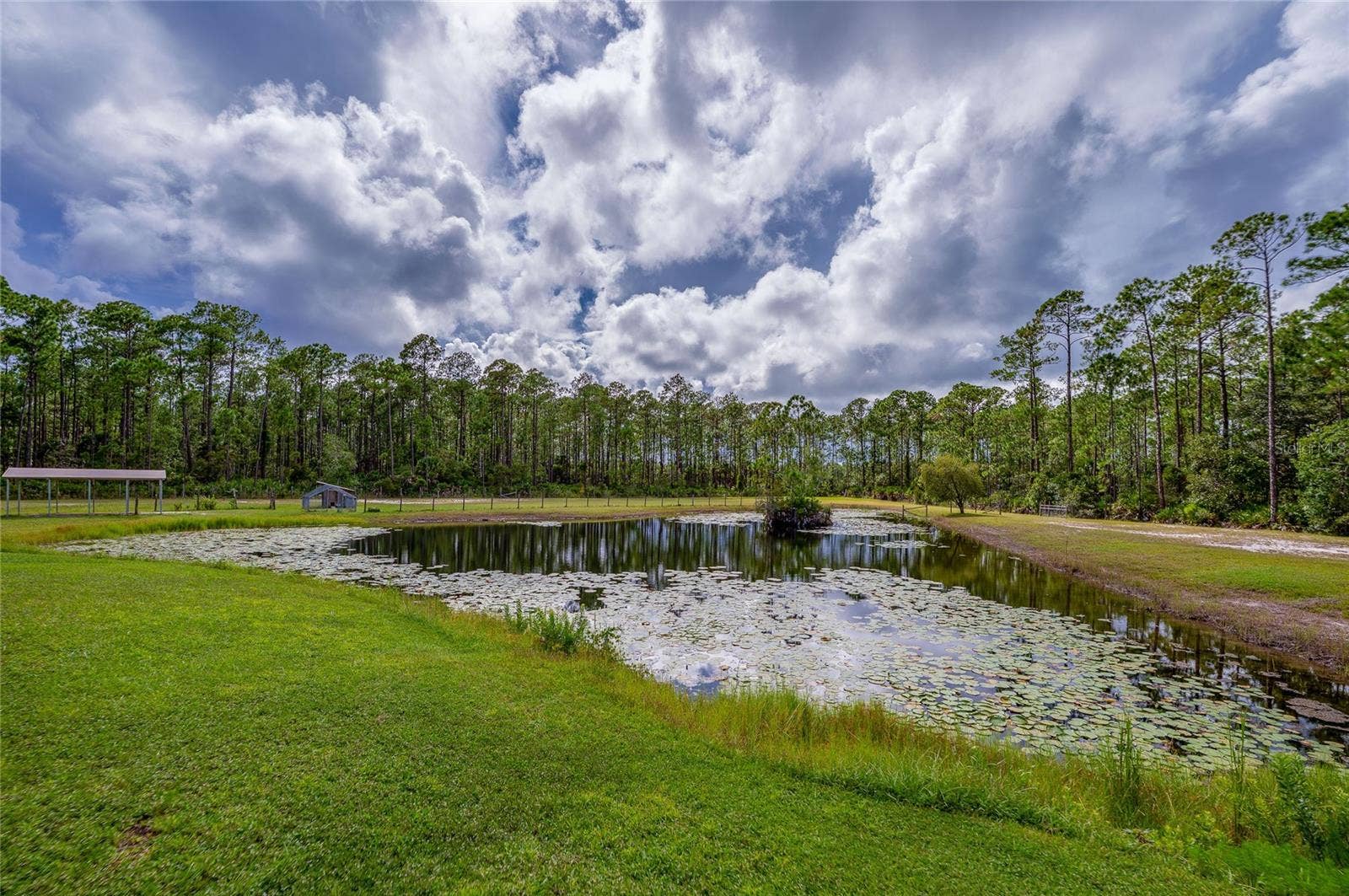25 REMINGTON ROAD, Ormond Beach, FL 32174 Scenic ground-level view of a tranquil natural pond dotted with lily pads, framed by lush green lawns and a dense pine tree forest.