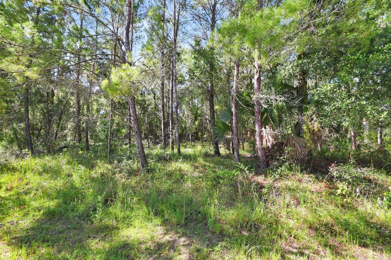 1964 S FARM ROAD, Deland, FL 32720