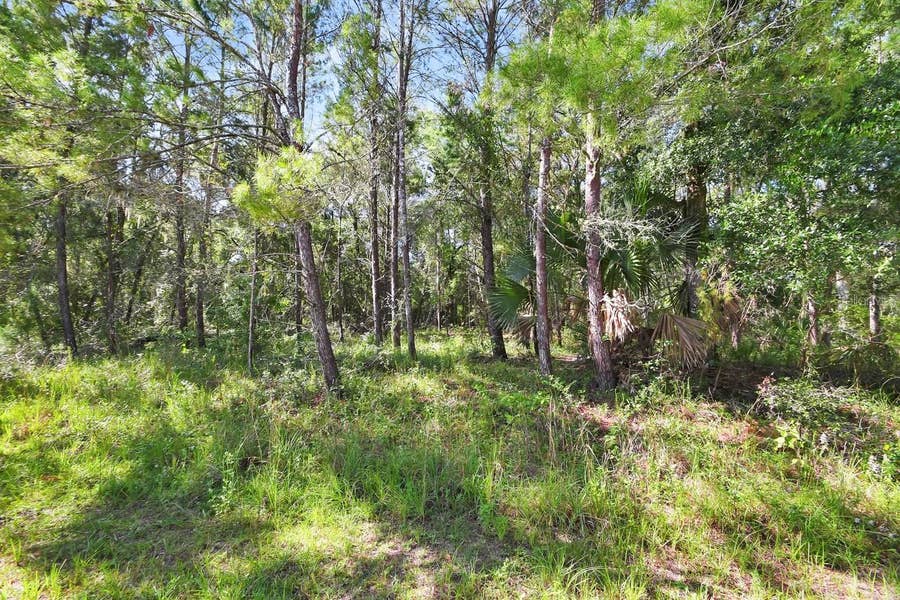 Property photo for 1964 S FARM ROAD, Deland, FL
