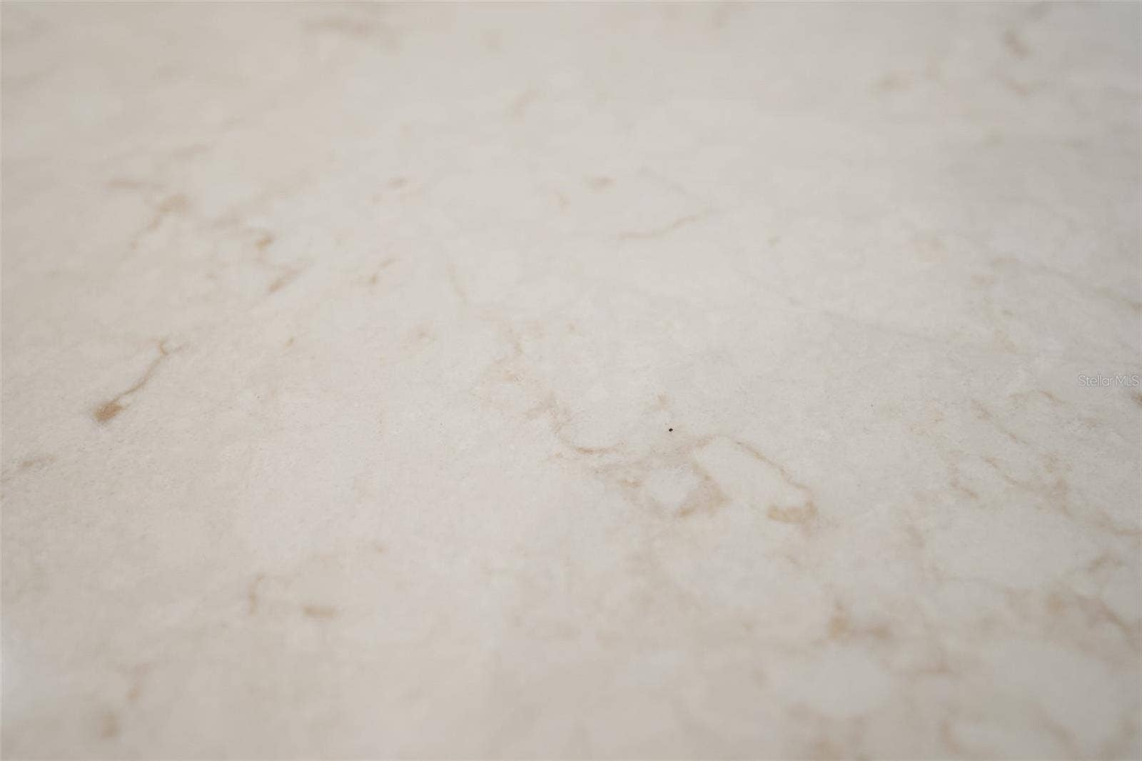 2844 MONAGHAN DRIVE, Ormond Beach, FL 32174 Beautiful quartz