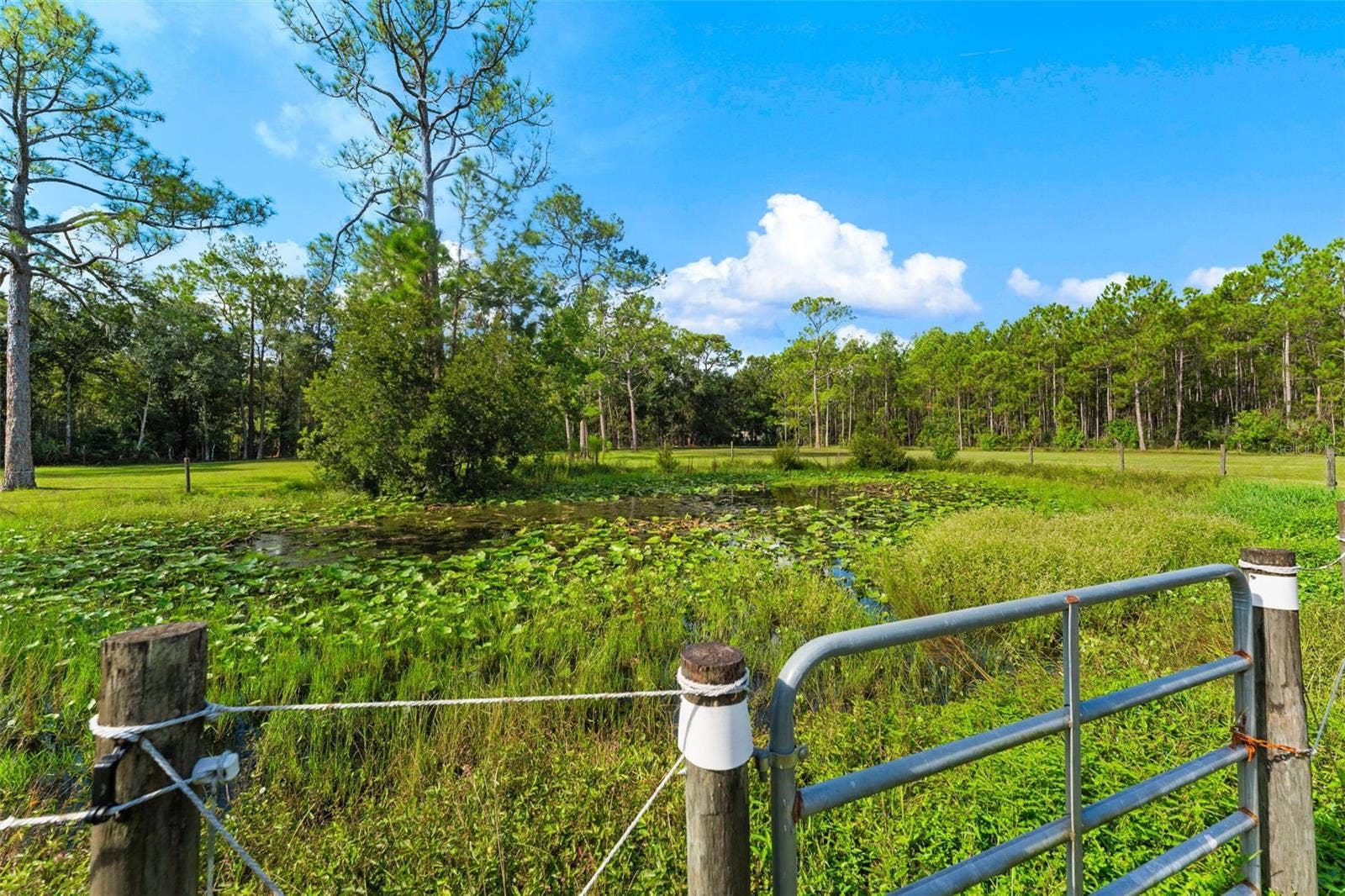 2131 W POINSETTIA DRIVE, Port Orange, FL 32128 2131 W POINSETTIA DRIVE, Port Orange, FL 32128