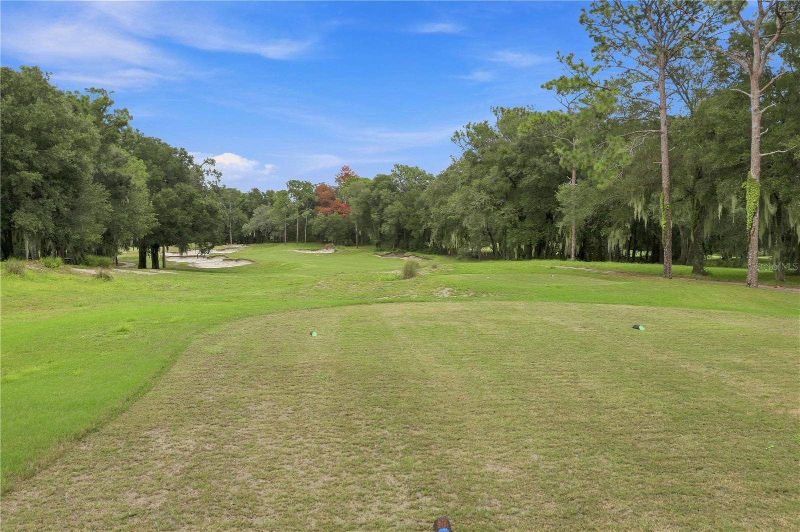 114 IVYDALE MANOR DRIVE, Deland, FL 32724
