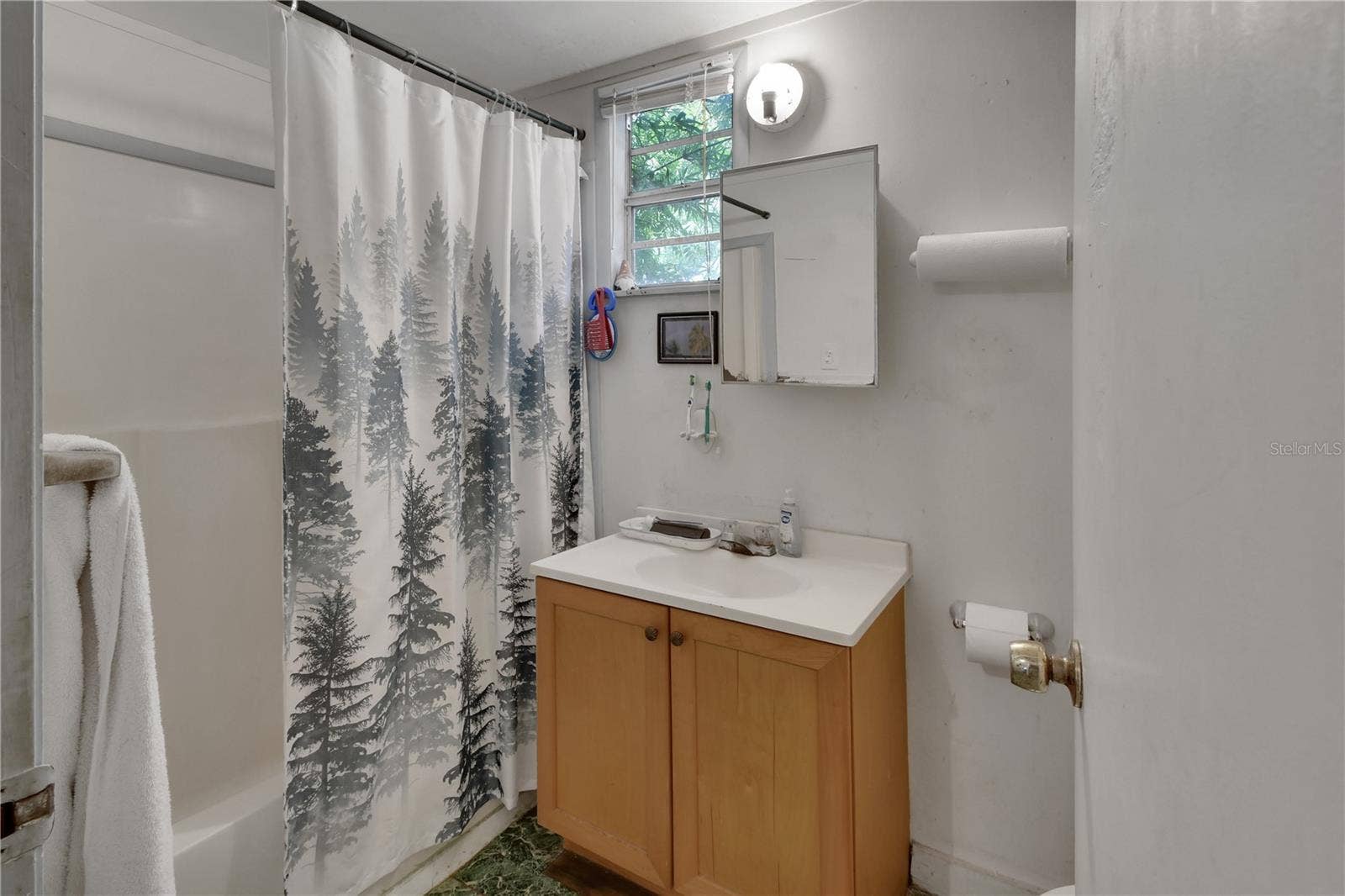 18931 E ALTOONA ROAD, Altoona, FL 32702 Bathroom
