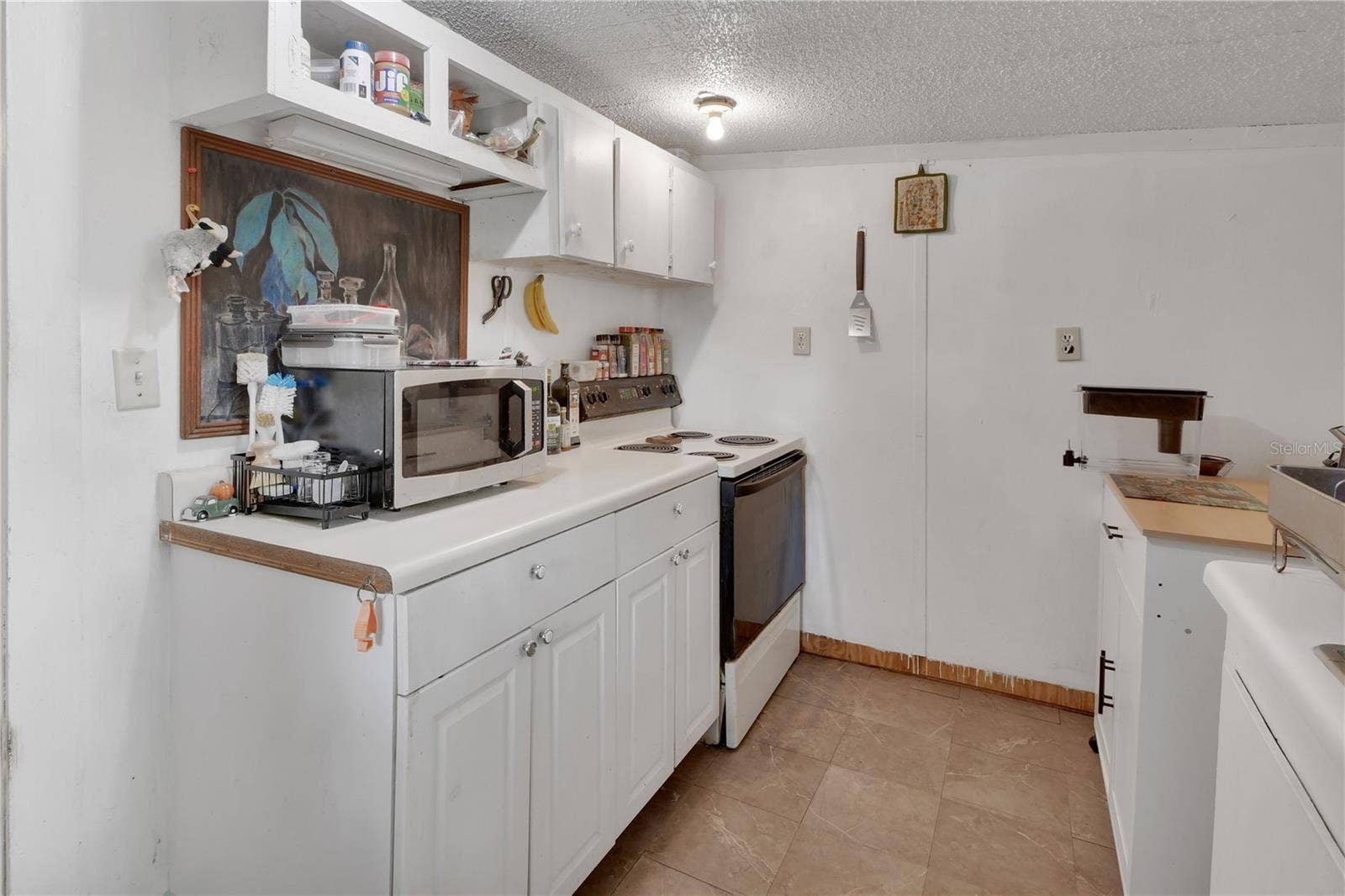 18931 E ALTOONA ROAD, Altoona, FL 32702 Kitchen