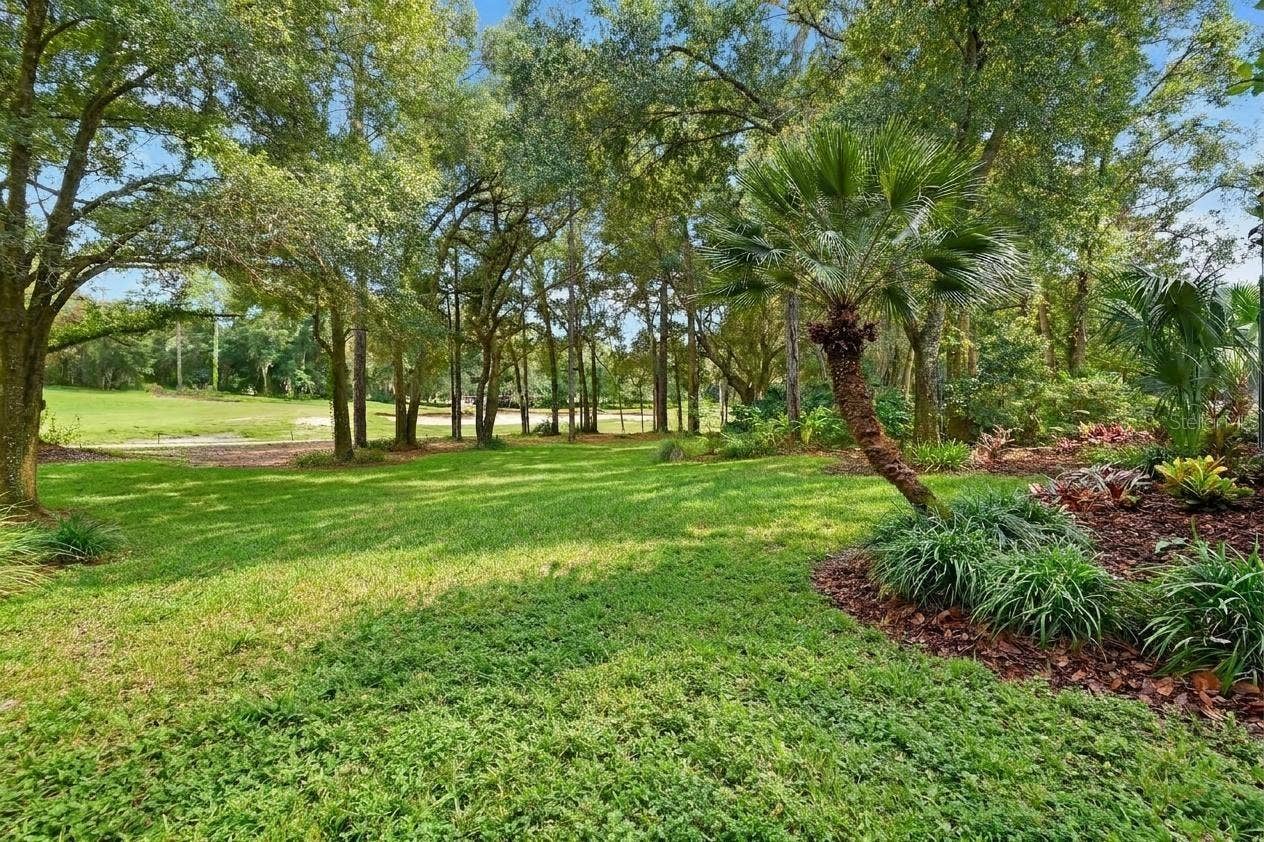 502 VICTORIA HILLS DRIVE, Deland, FL 32724 Rear yard