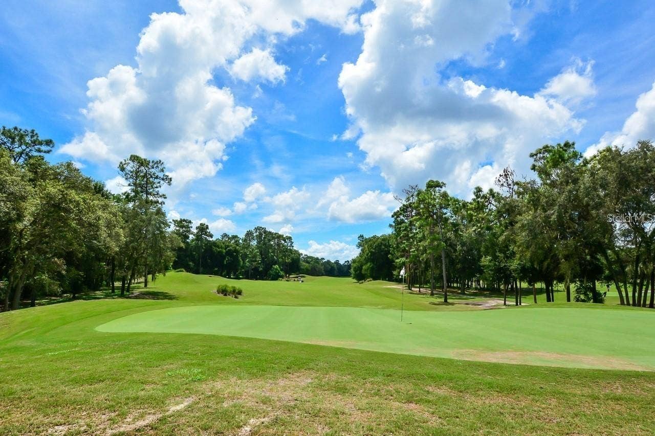 502 VICTORIA HILLS DRIVE, Deland, FL 32724 Playground