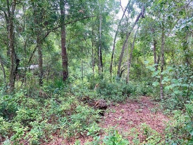 Property photo for 407 RAULERSON ROAD, Seville, FL