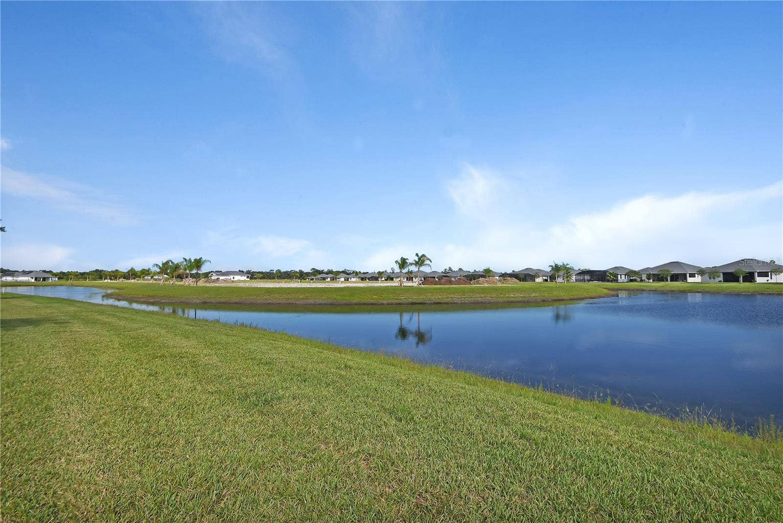 Pond in back yard