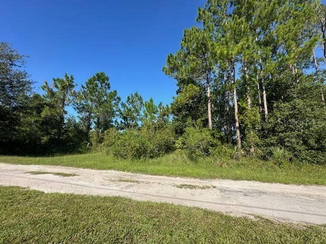 Property photo for WOODLAND AVENUE, Paisley, FL