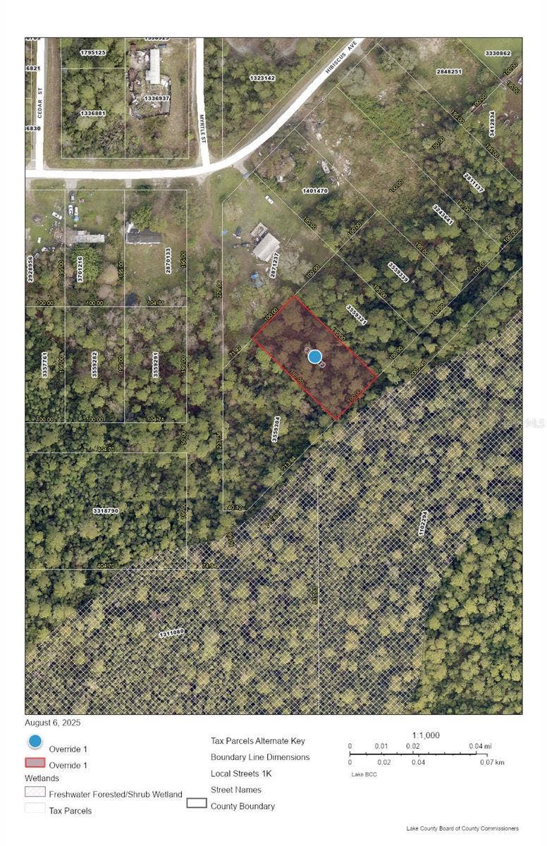 Property photo for RACCOON STREET, Paisley, FL