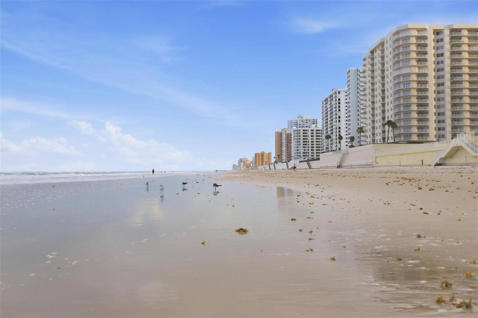 2937 S ATLANTIC AVENUE, #1808, Daytona Beach Shores, FL 32118 2937 S ATLANTIC AVENUE, #1808, Daytona Beach Shores, FL 32118