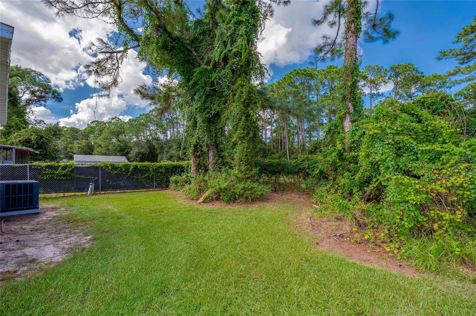 13 LAWRENCE COURT, Port Orange, FL 32127 Open grassy yard is bordered by established trees and greenery, providing additional outdoor space behind the home.
