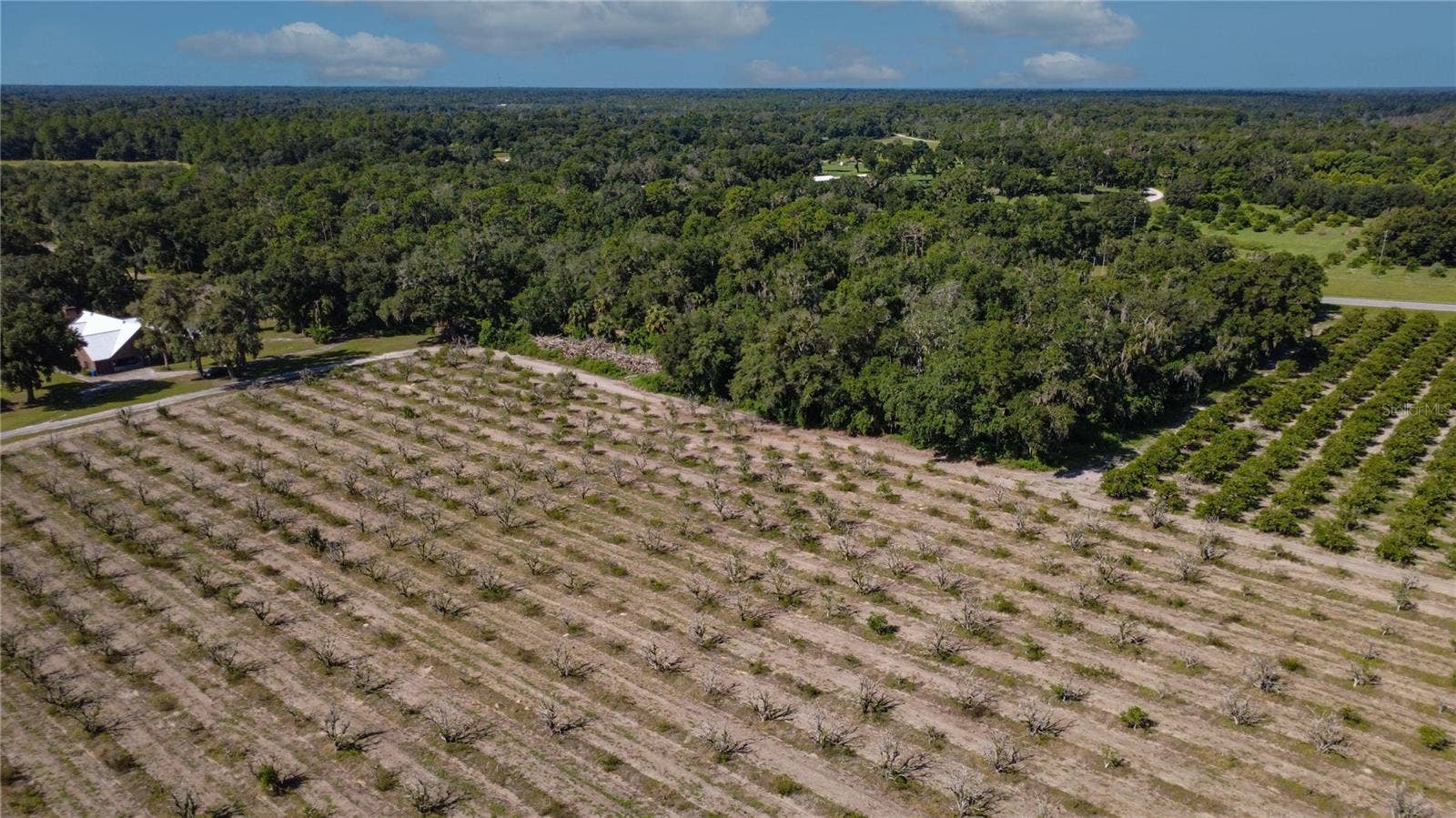 STATE ROAD 11, De Leon Springs, FL 32130 STATE ROAD 11, De Leon Springs, FL 32130