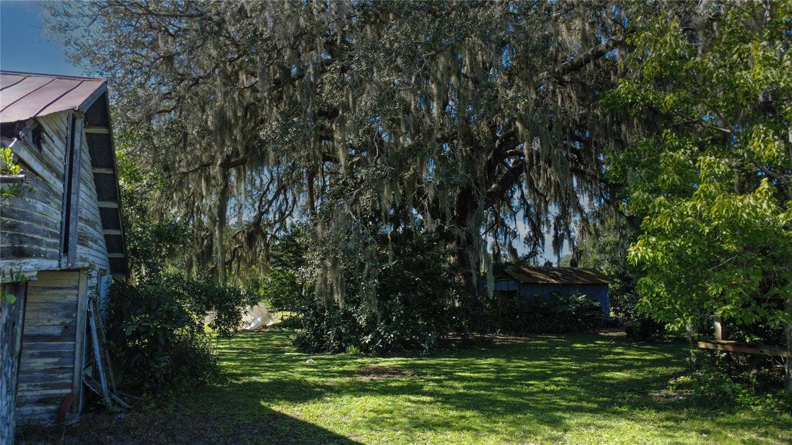 STATE ROAD 11, De Leon Springs, FL 32130 STATE ROAD 11, De Leon Springs, FL 32130