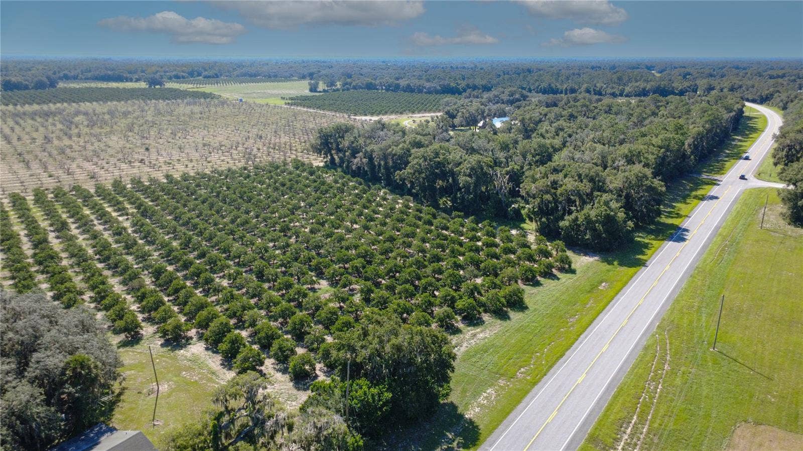 STATE ROAD 11, De Leon Springs, FL 32130 STATE ROAD 11, De Leon Springs, FL 32130