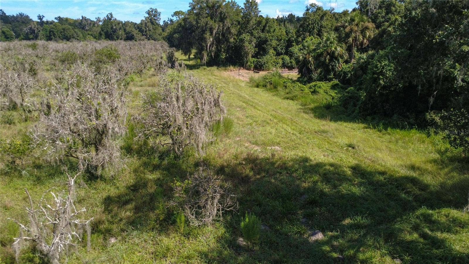 HOLLY HAMMOCK ROAD, De Leon Springs, FL 32130 HOLLY HAMMOCK ROAD, De Leon Springs, FL 32130