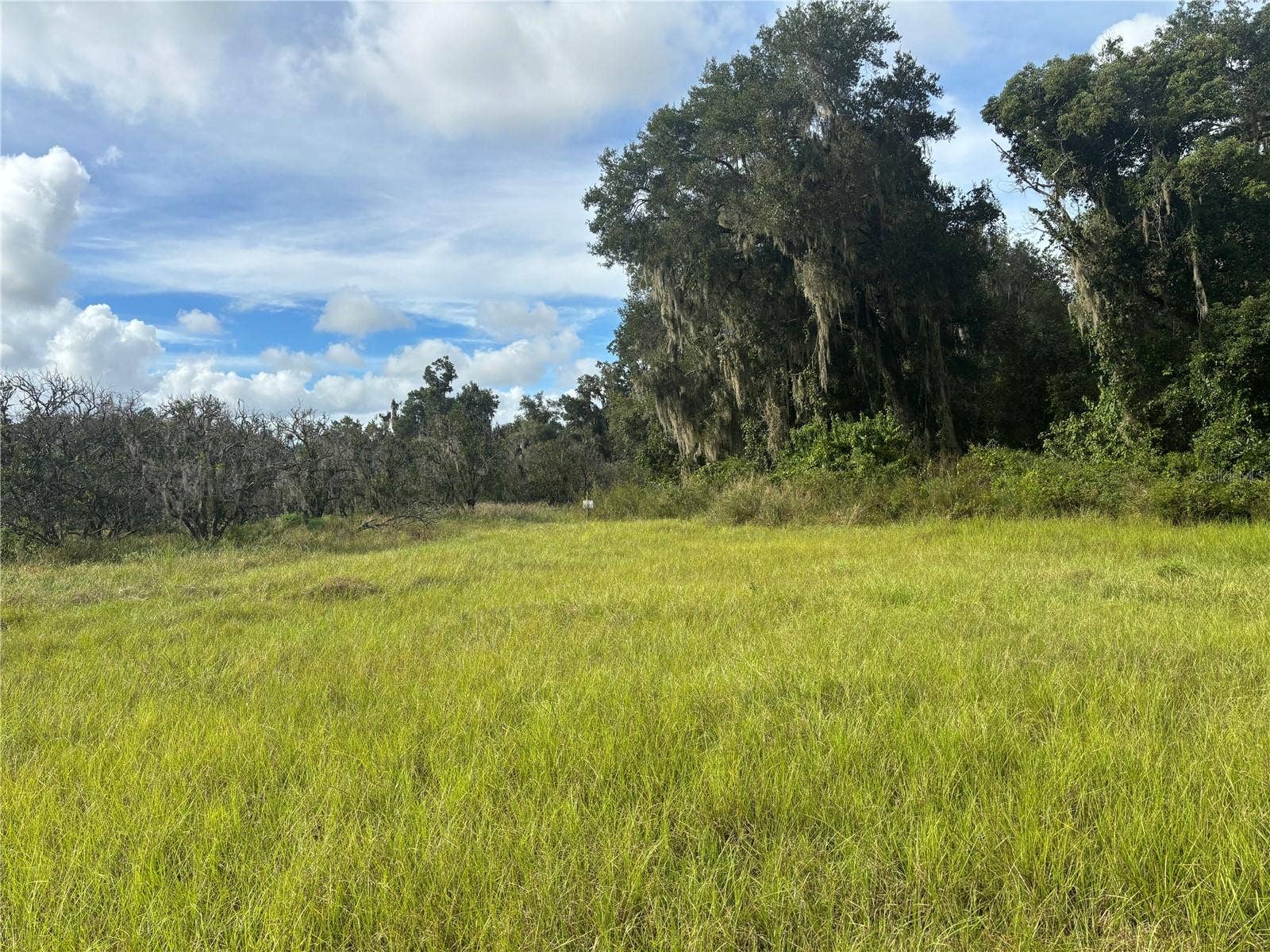 HOLLY HAMMOCK ROAD, De Leon Springs, FL 32130 HOLLY HAMMOCK ROAD, De Leon Springs, FL 32130