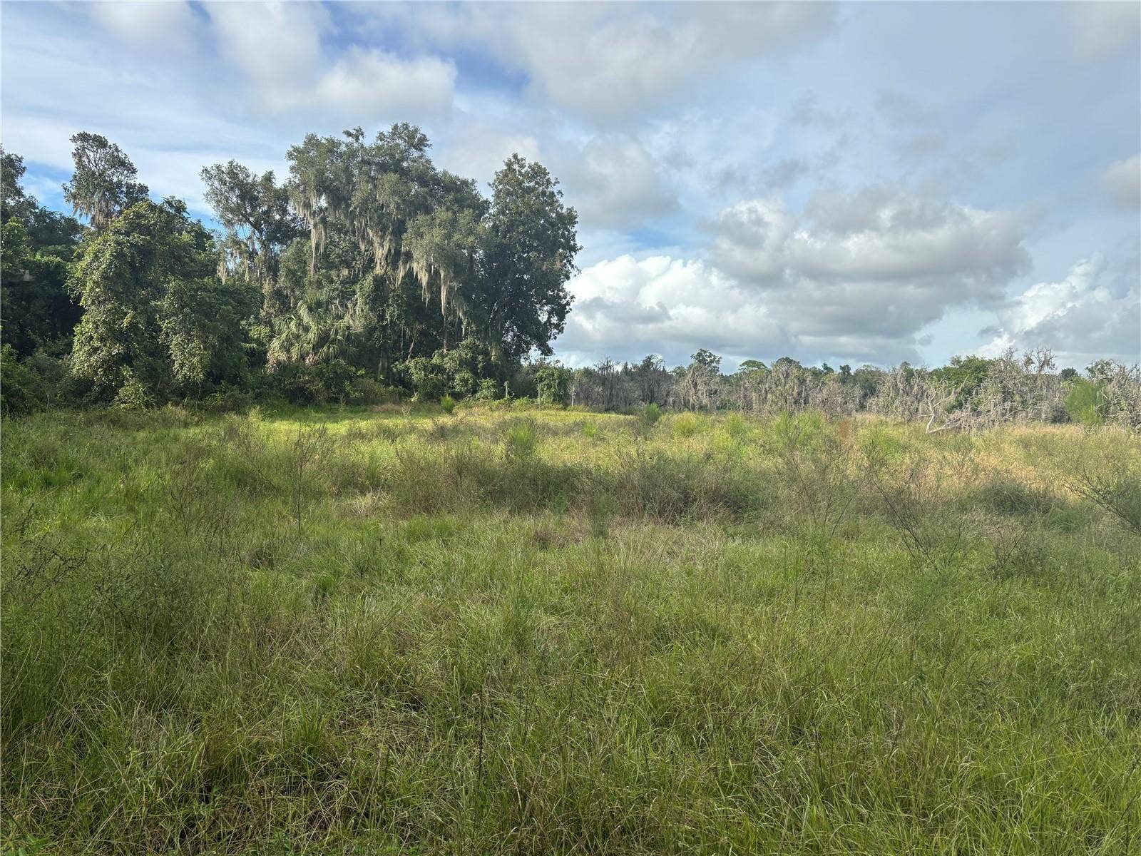 HOLLY HAMMOCK ROAD, De Leon Springs, FL 32130 HOLLY HAMMOCK ROAD, De Leon Springs, FL 32130