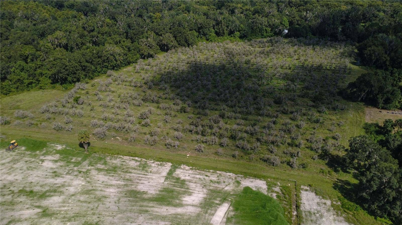 HOLLY HAMMOCK ROAD, De Leon Springs, FL 32130 HOLLY HAMMOCK ROAD, De Leon Springs, FL 32130