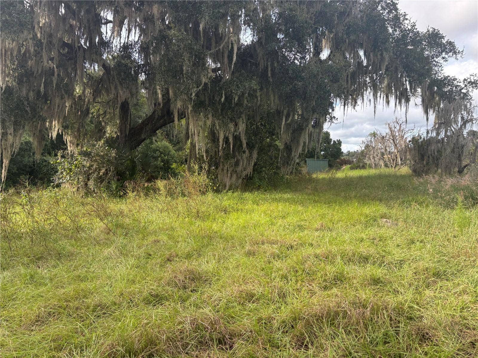 HOLLY HAMMOCK ROAD, De Leon Springs, FL 32130 HOLLY HAMMOCK ROAD, De Leon Springs, FL 32130