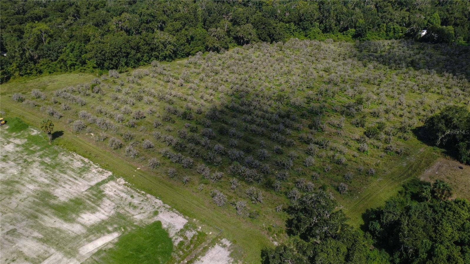 HOLLY HAMMOCK ROAD, De Leon Springs, FL 32130 HOLLY HAMMOCK ROAD, De Leon Springs, FL 32130