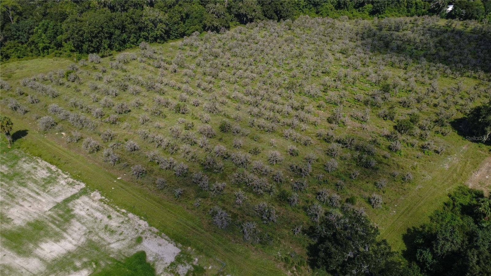 HOLLY HAMMOCK ROAD, De Leon Springs, FL 32130 HOLLY HAMMOCK ROAD, De Leon Springs, FL 32130
