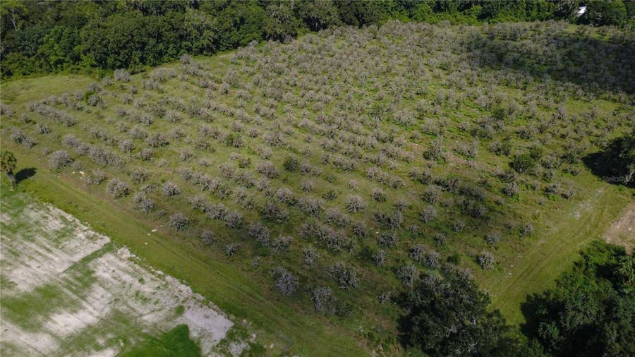 Property photo for HOLLY HAMMOCK ROAD, De Leon Springs, FL
