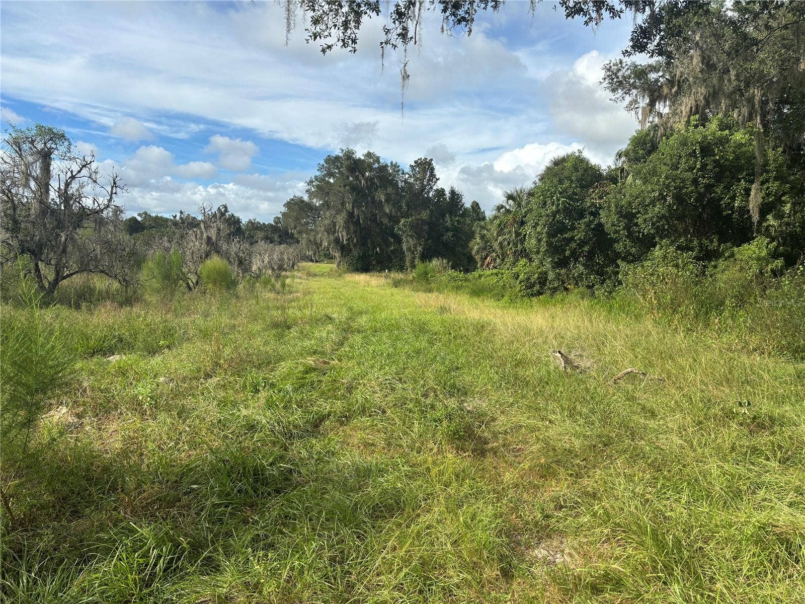 HOLLY HAMMOCK ROAD, De Leon Springs, FL 32130 HOLLY HAMMOCK ROAD, De Leon Springs, FL 32130