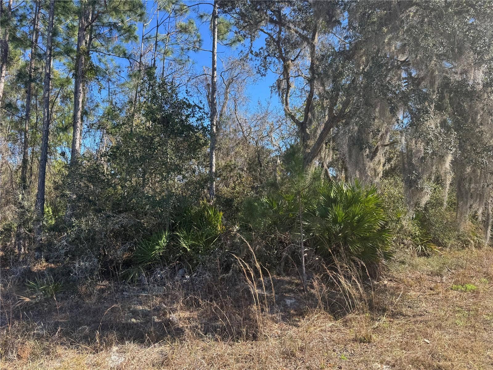 GRACE AVENUE, Deland, FL 32720 GRACE AVENUE, Deland, FL 32720