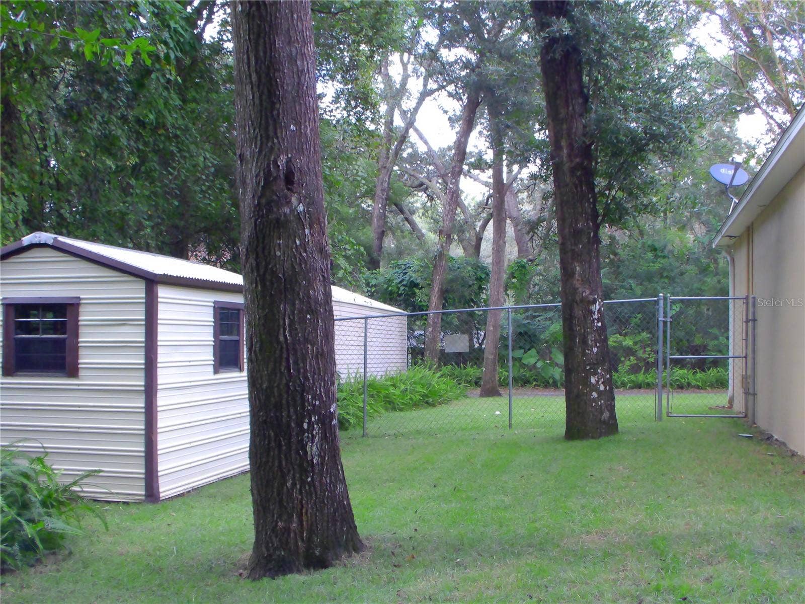 740 RUBY AVENUE, Deland, FL 32724 backyard