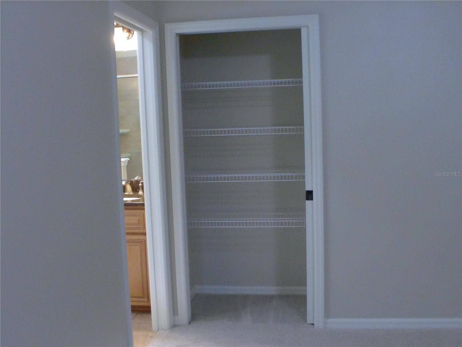 740 RUBY AVENUE, Deland, FL 32724 Primary bathroom linen closet