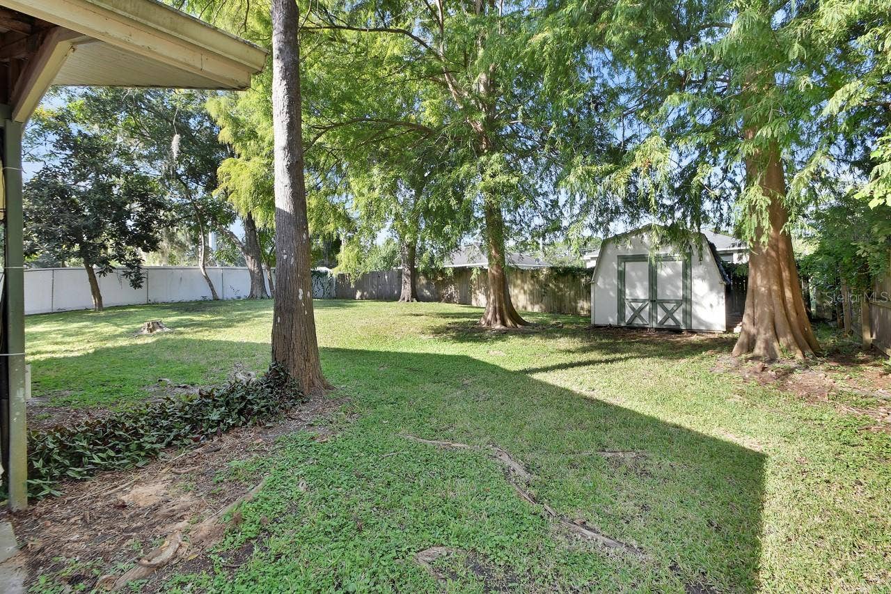 Backyard.