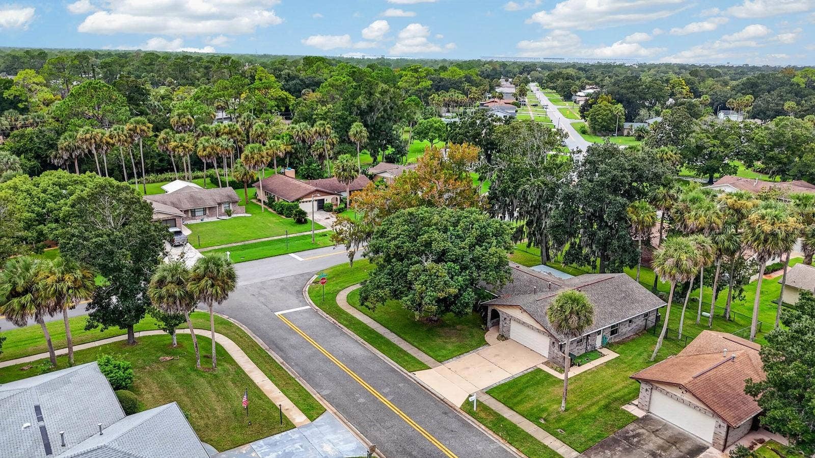 Aerial Neighborhood View