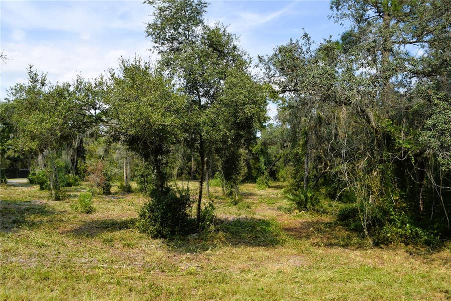 Property photo for 625 LAKE BUTLER AVENUE, Osteen, FL