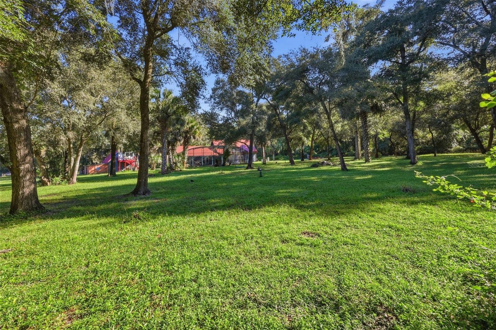 BACK YARD