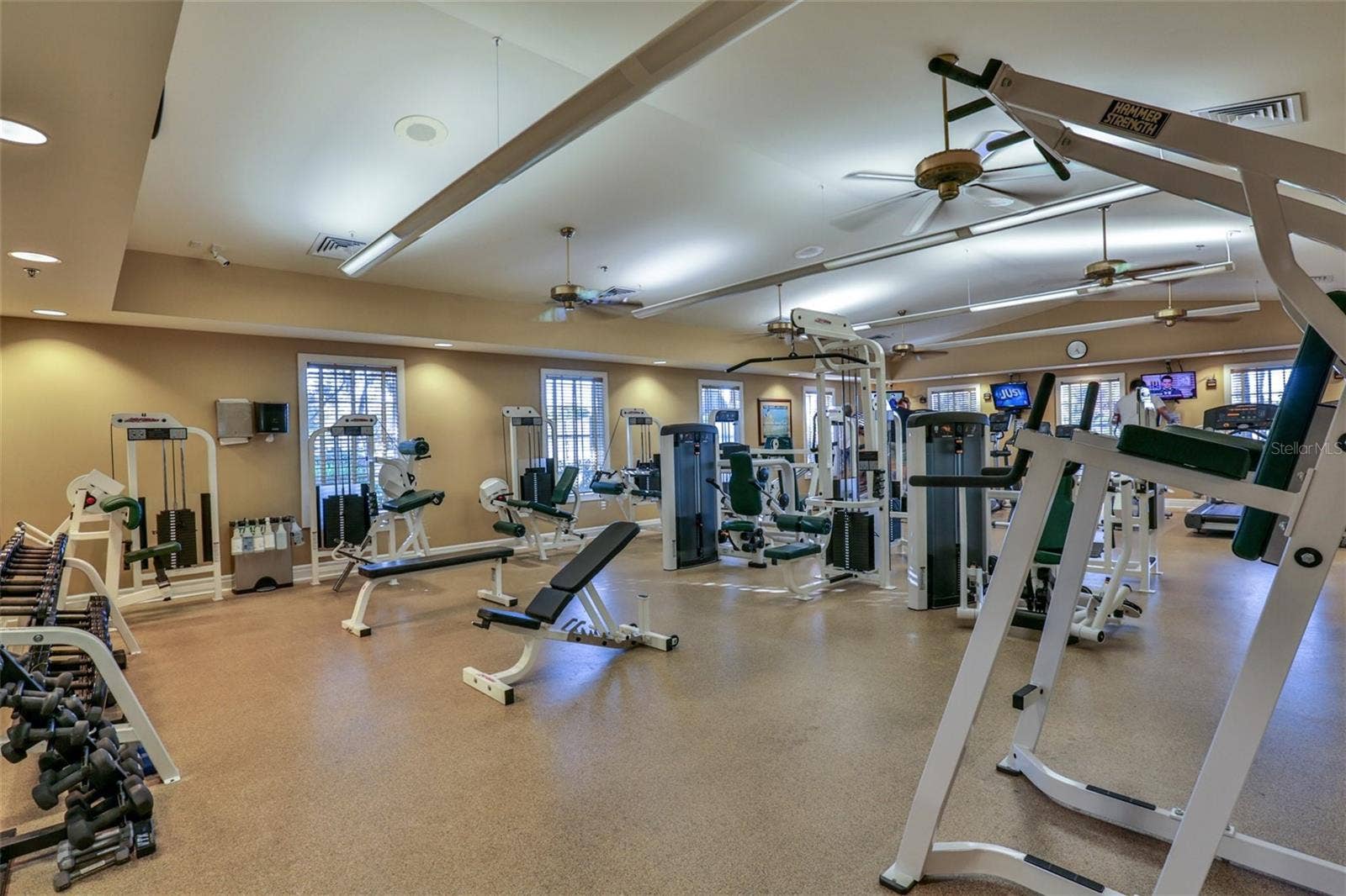 413 CYPRESS HILLS WAY, Deland, FL 32724 Fitness room