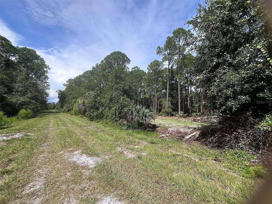 Property photo for 334 REDWOOD BOULEVARD, Georgetown, FL