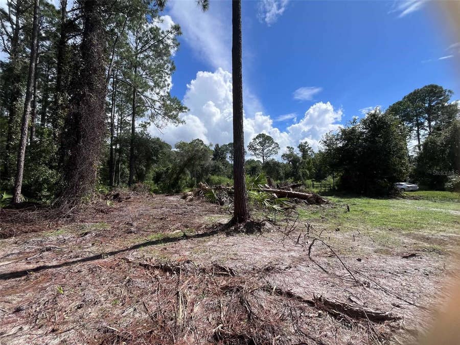 Property photo for 334 REDWOOD BOULEVARD, Georgetown, FL
