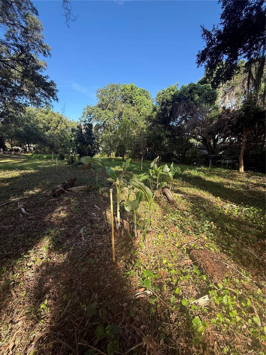 Property photo for ORANGE AVENUE, Sanford, FL