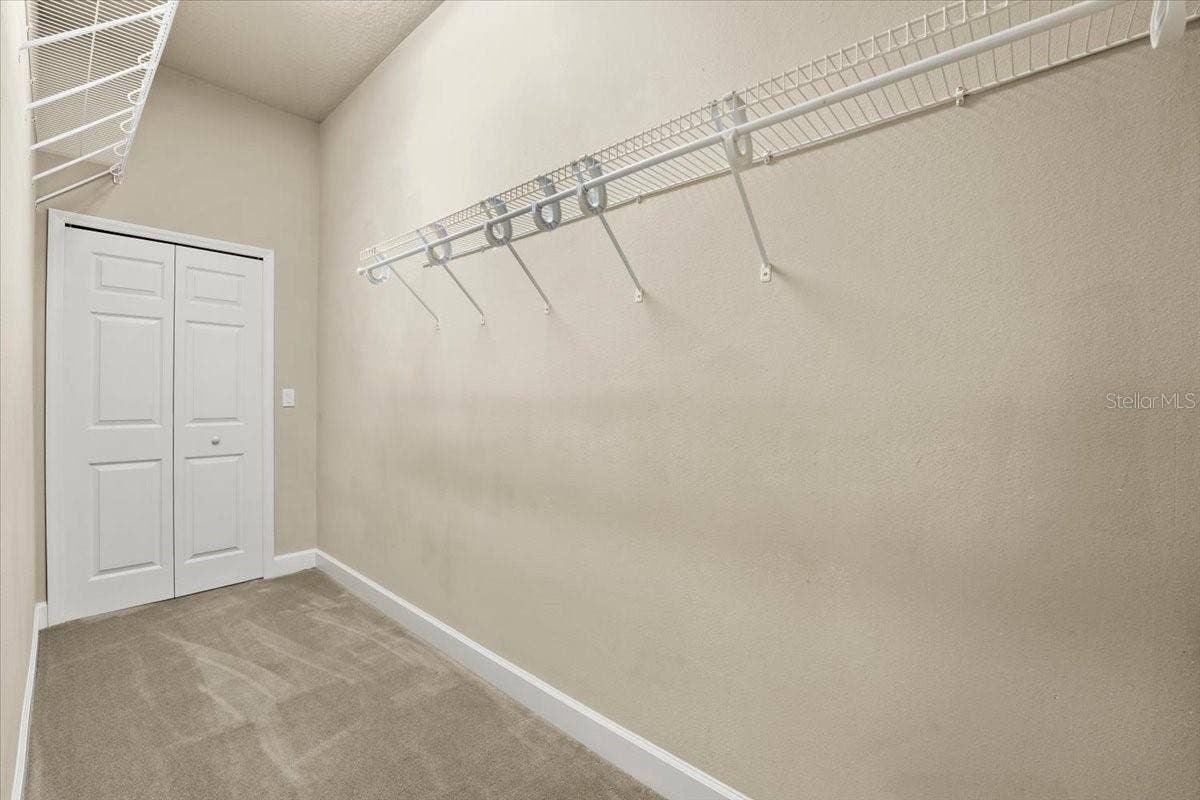 Primary Walk-in Closet #2