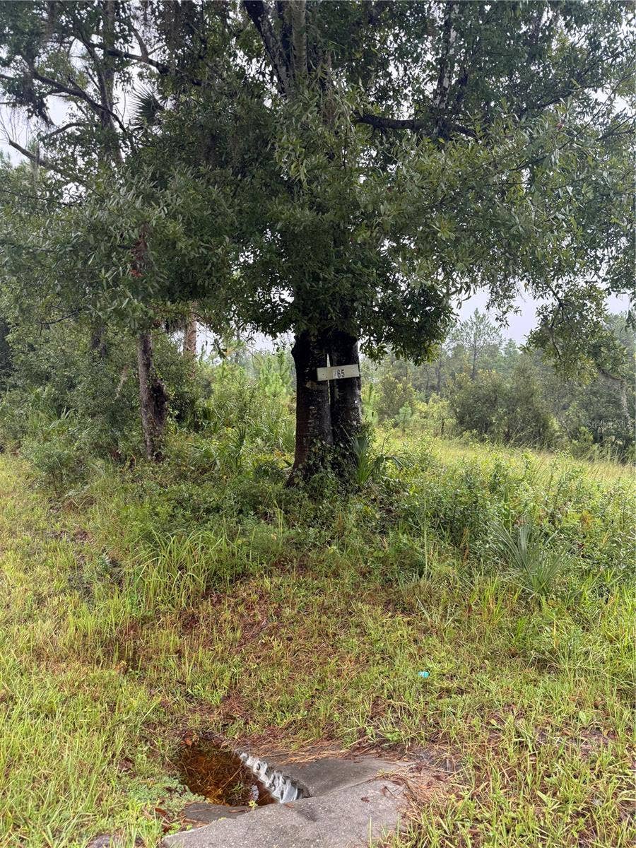 765 N US HIGHWAY 17, Pierson, FL 32180