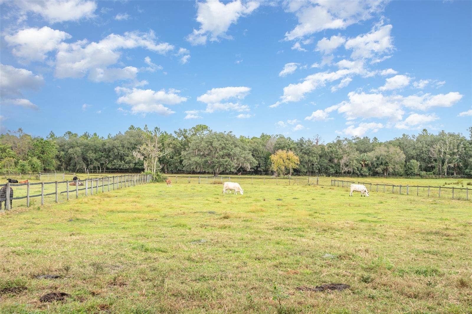 1374 E OHIO AVENUE, Lake Helen, FL 32744