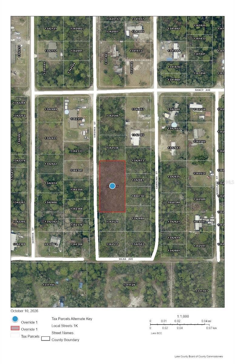 Property photo for VIRGINIA STREET, Paisley, FL