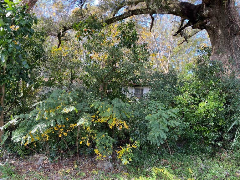 Featured Property image for 534 S Dexter Avenue