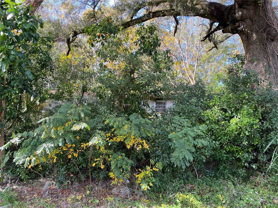 Property photo for 534 S DEXTER AVENUE, Deland, FL