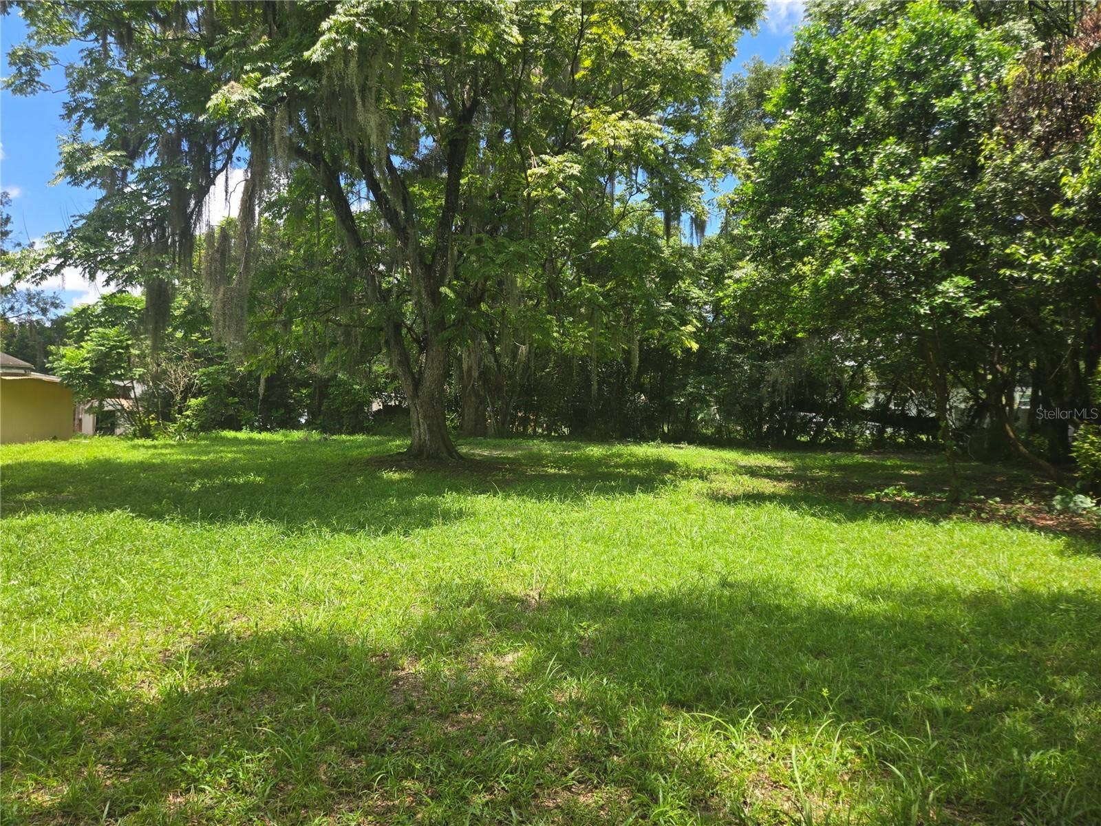 317 S FRANKFORT AVENUE, Deland, FL 32724 317 S FRANKFORT AVENUE, Deland, FL 32724