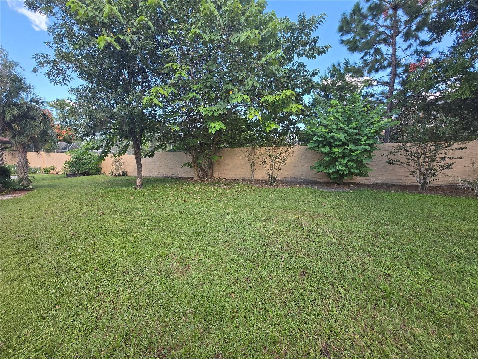 35 VILLA VILLAR COURT, #350, Deland, FL 32724 Back yard