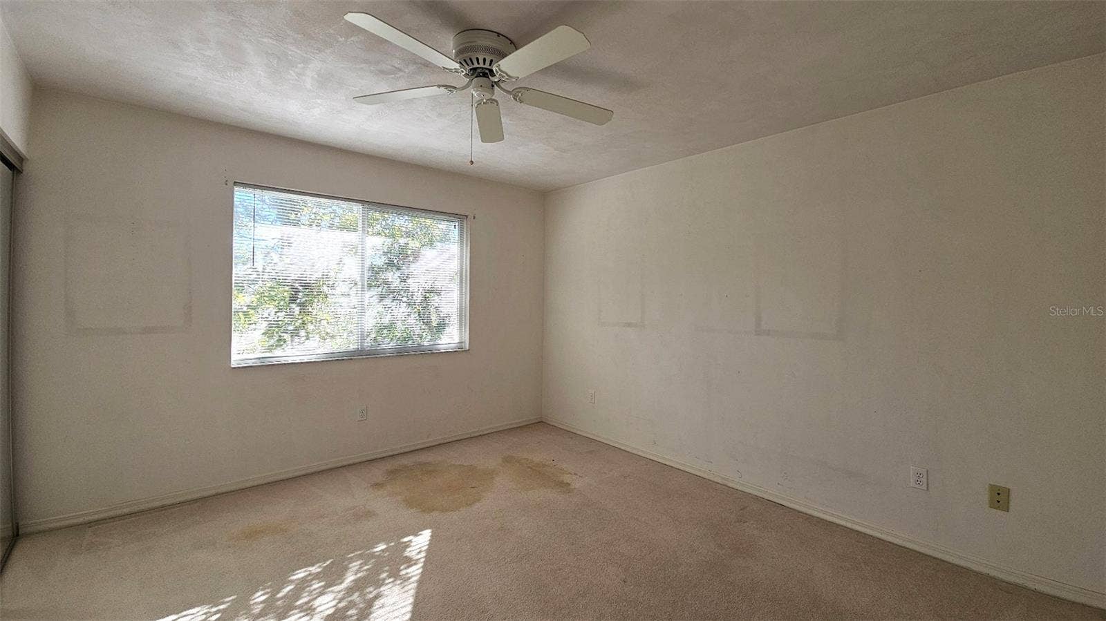 115 CIRCLING WOOD COURT, Port Orange, FL 32128 Bedroom