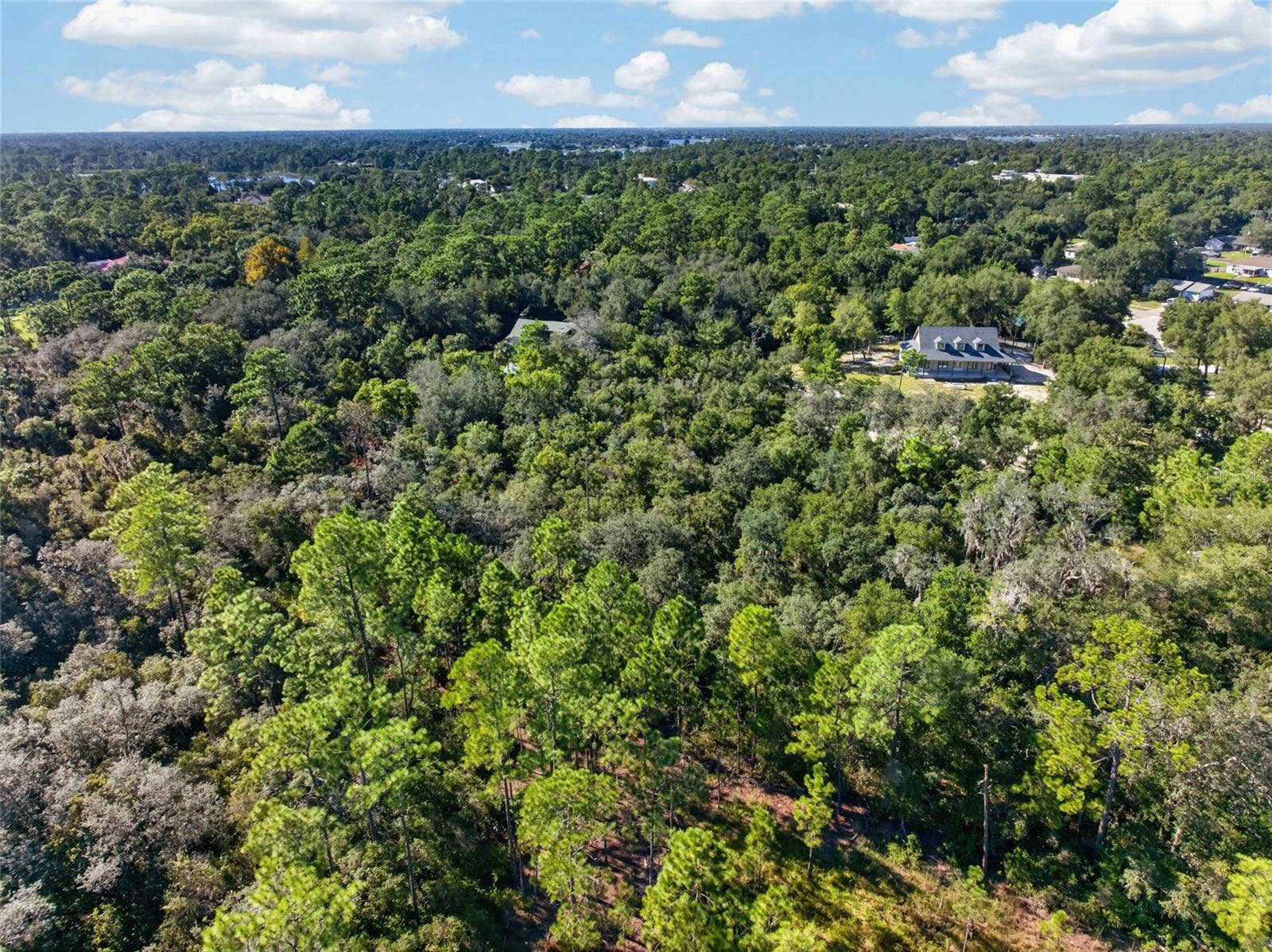 431 WILBURTON DRIVE, Deltona, FL 32738 431 WILBURTON DRIVE, Deltona, FL 32738