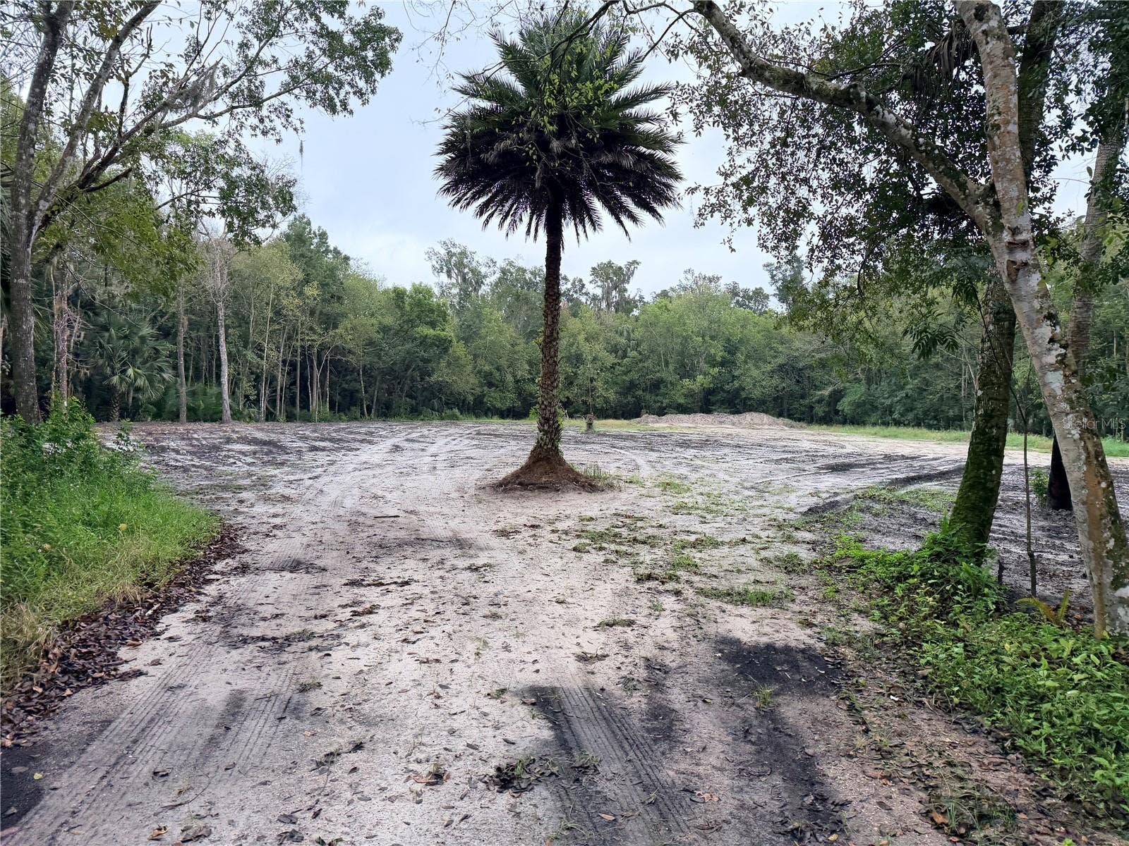 2295 CANAL STREET, Oviedo, FL 32765